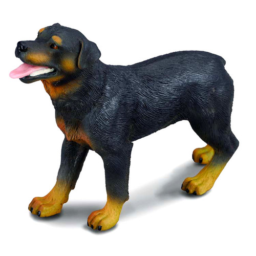 Rottweiler CollectA