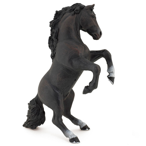 Horse Black Reared up