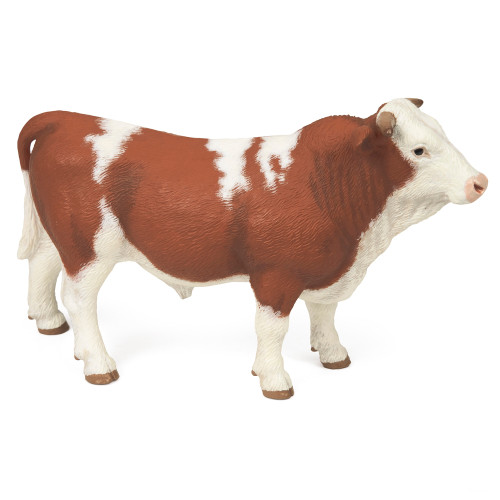Simmental Bull Papo