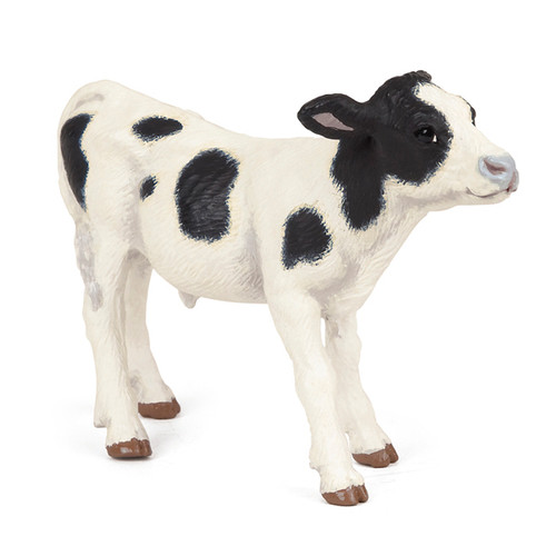 Piebald Calf