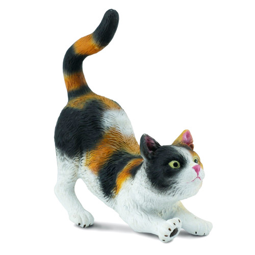 3 Colour House Cat Stretching CollectA