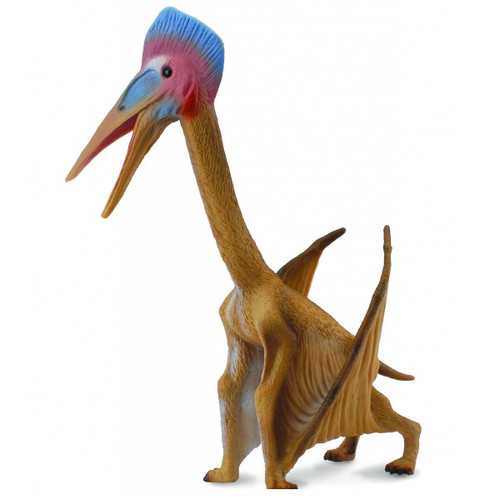 Hatzegopteryx CollectA