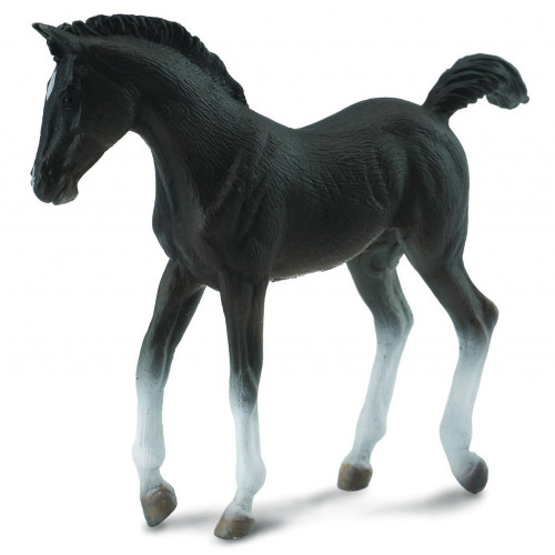 Tennessee Walking Foal Black ColletcA