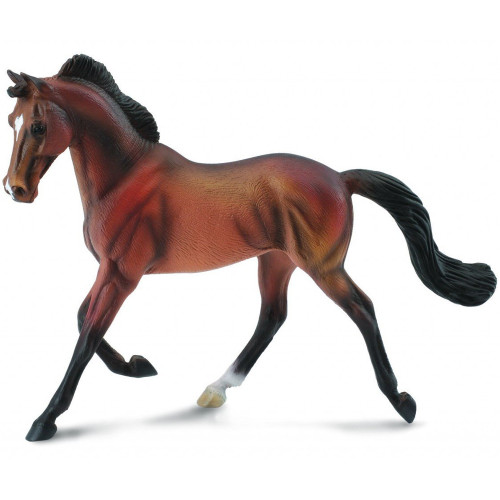 Thoroughbred Mare Bay CollectA