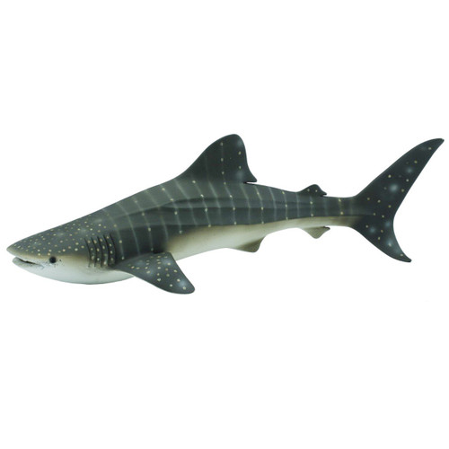 Whale Shark CollectA