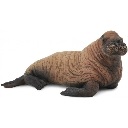 Walrus Calf CollectA