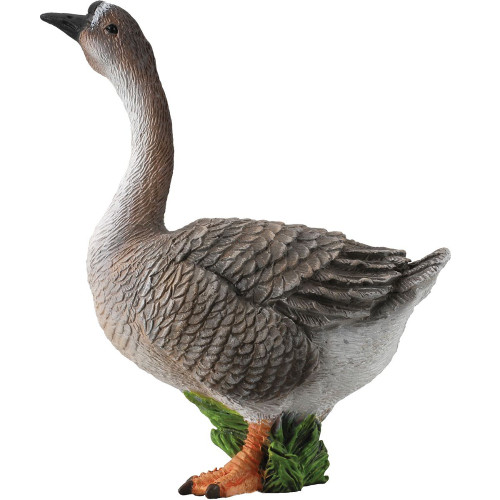 Goose CollectA