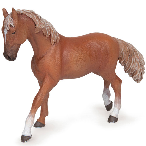 Alezan English Thoroughbred Mare