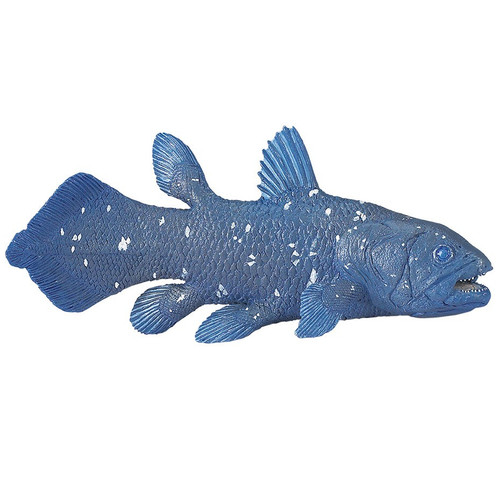 Coelacanth