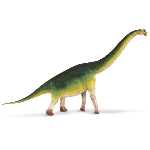 Brachiosaurus