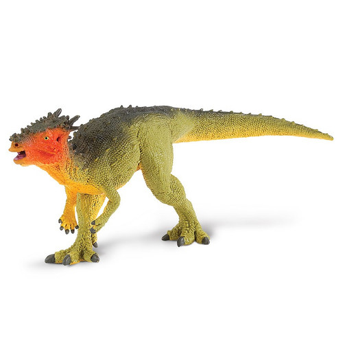 Dracorex