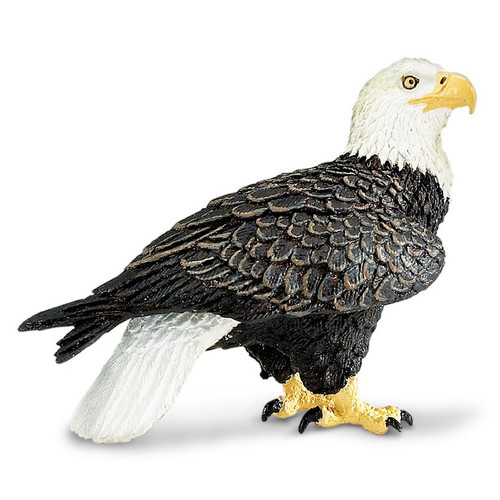 Bald Eagle Safari Ltd