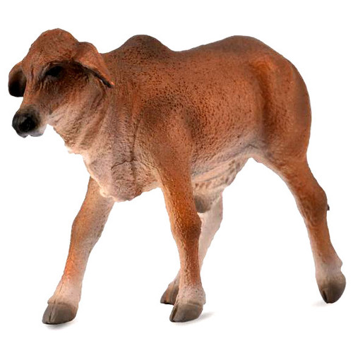 Brahman Calf Red CollectA