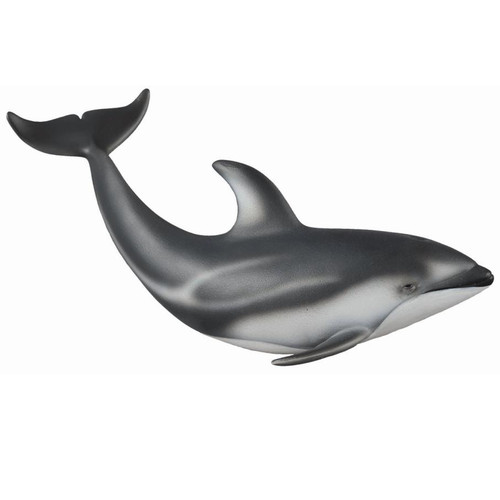 Pacific White Side Dolphin