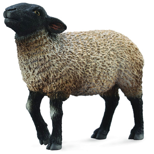 Suffolk Black faced Sheep CollectA