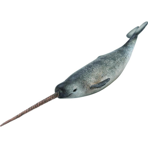 Narwhal