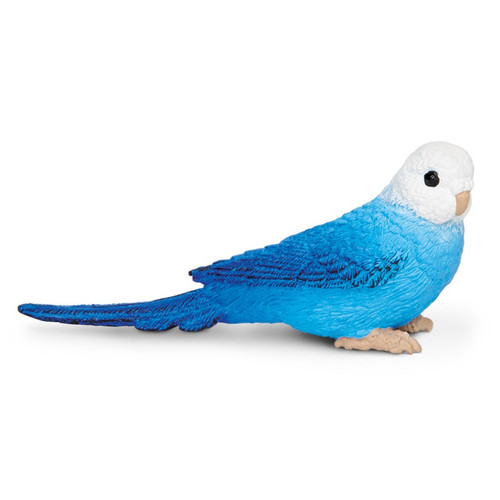 Budgie Blue Safari