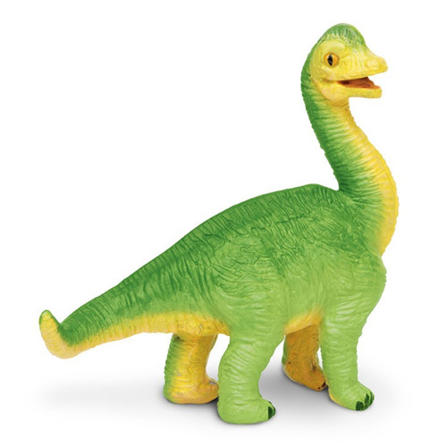 Brachiosaurus Baby 2013
