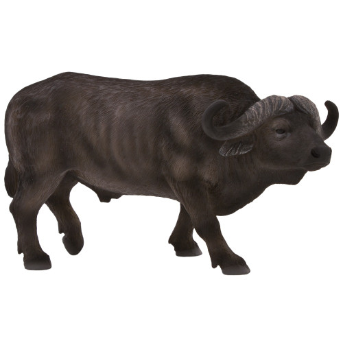 Cape Buffalo Mojo