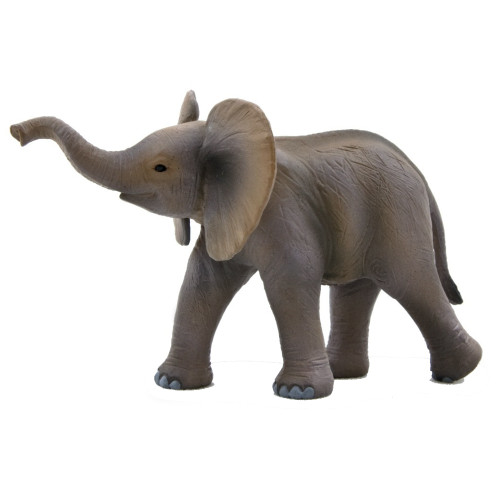 African Elephant Calf Mojo