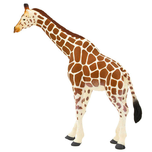 Giraffe Mojo