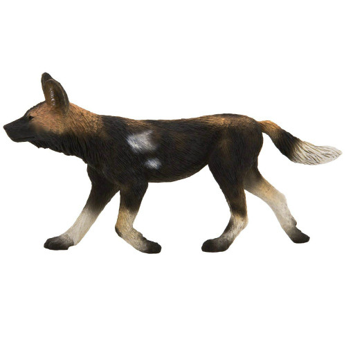 African Painted Dog