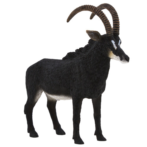 Giant Sable Antelope