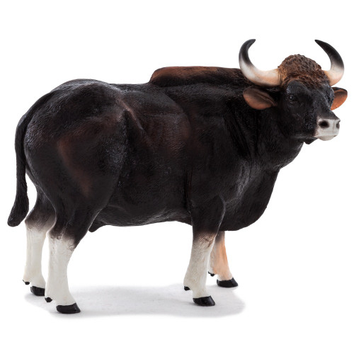 Gaur Bull