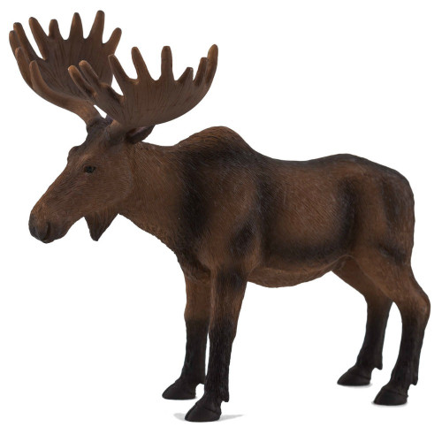 Moose Mojo