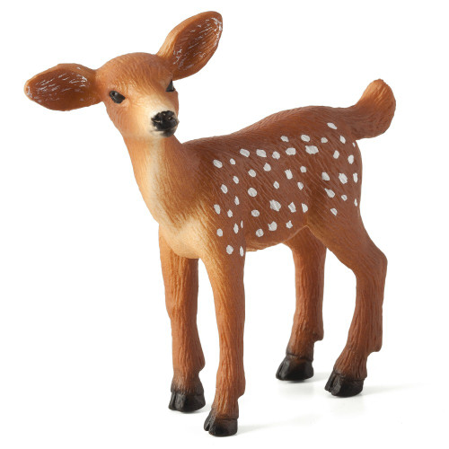 White Tailed Fawn