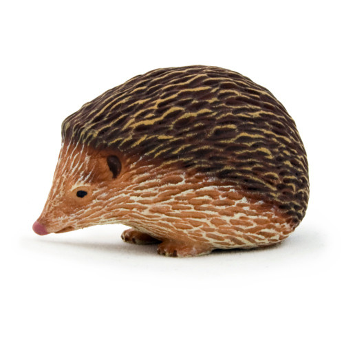 Hedgehog Mojo
