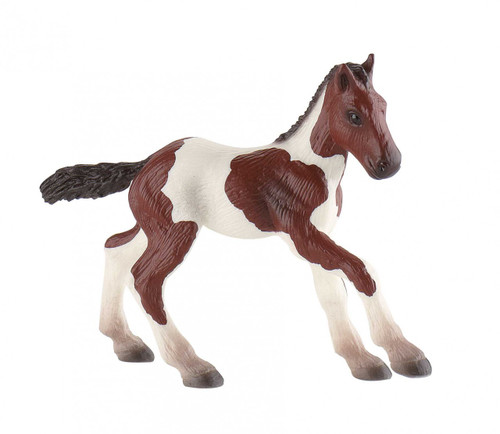 Paint Horse Foal
