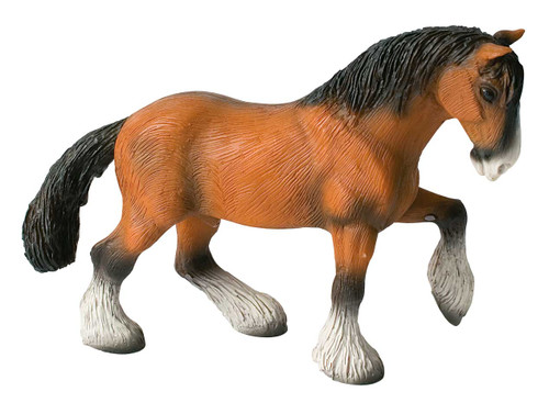 Shire Horse Gelding