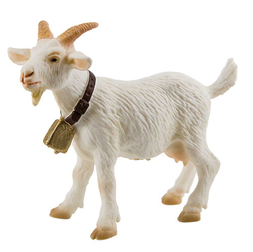 Goat