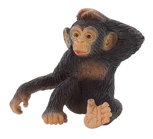 Chimpanzee Young Bullyland