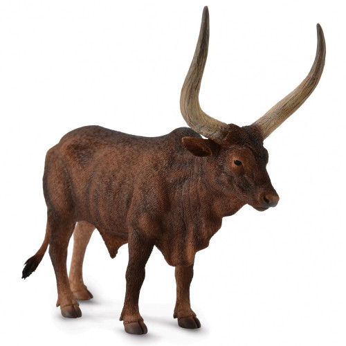 Ankole Watusi Bull CollectA