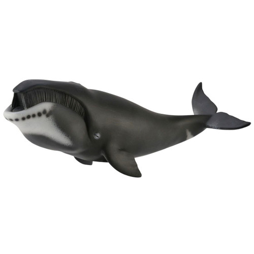 Bowhead Whale CollectA