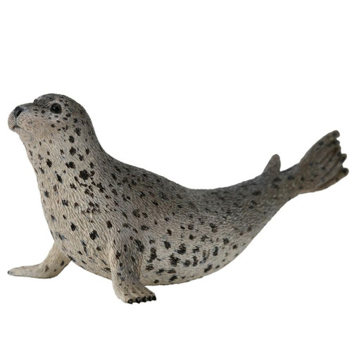 Spotted Seal