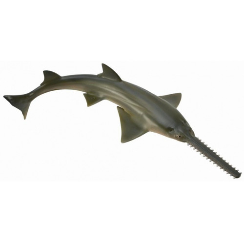Sawfish