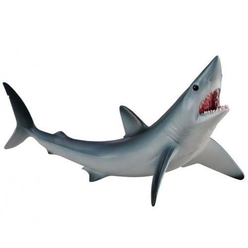 Shortfin Mako Shark