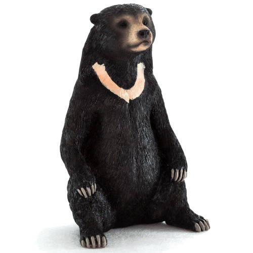 Sun Bear