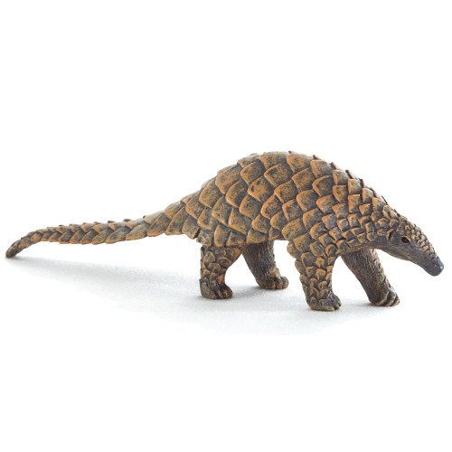 Indian Pangolin