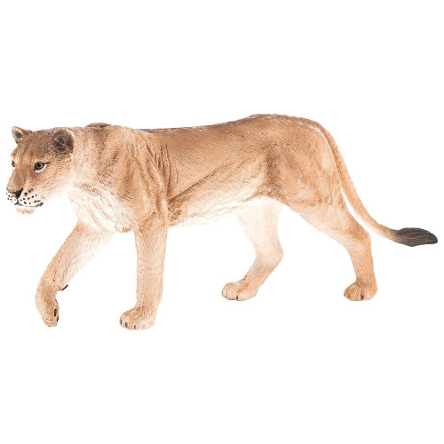 Lioness Mojo