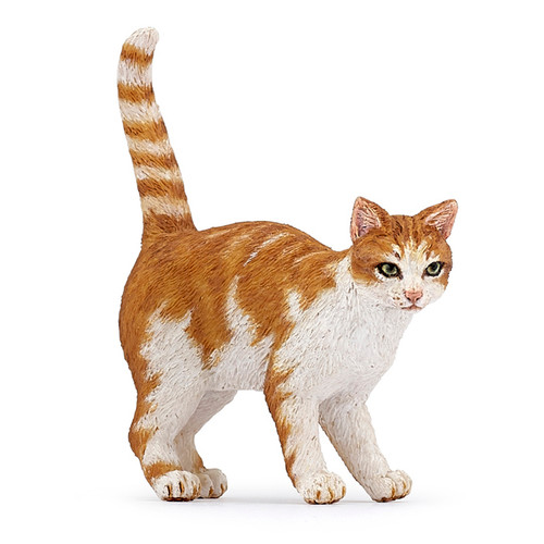 Cat Red