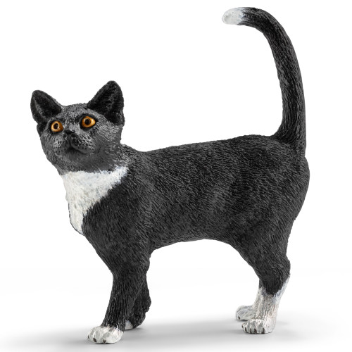 Cat, Standing