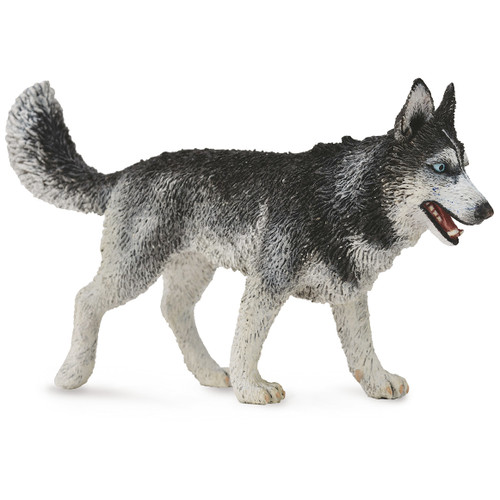 Siberian Husky CollectA