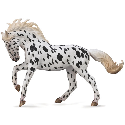 Knabstrupper Mare Black Leopard