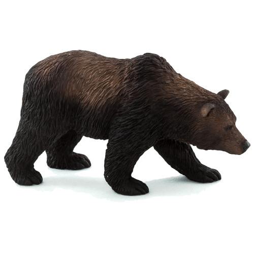 Grizzly Bear 2015
