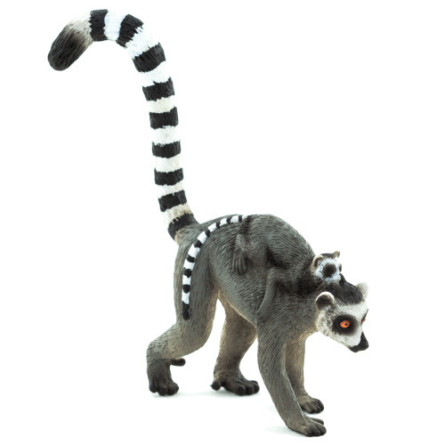 Ringtail Lemur with Baby