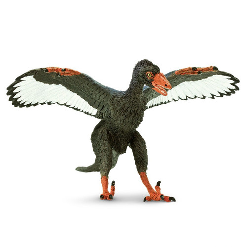 Archaeopteryx Safari